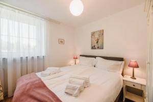 Renoviertes Apartment mit Terrasse an der Piste mit kostenlosen WiFi