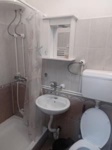 Vila Lenka Sokobanja