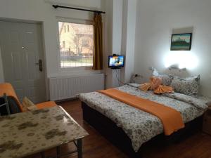 Vila Lenka Sokobanja