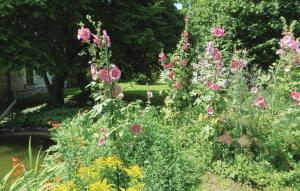 Maisons de vacances Le Clos des Tilleuls : photos des chambres