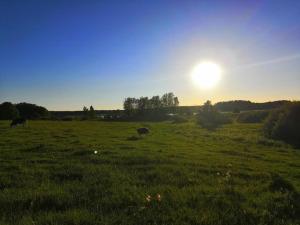 Potkufka
