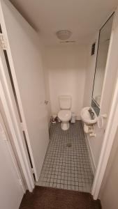 1BR Executive Apartment in City Centre