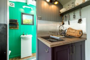 The Big Cwtch Shepherds Hut