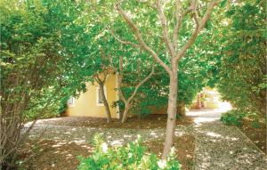 Maisons de vacances Gorgeous Home In Thzan-ls-bziers With Wifi : photos des chambres