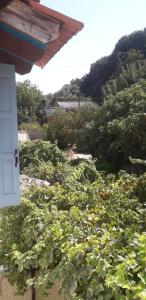 Eftychias house in the beautiful village Vryses
