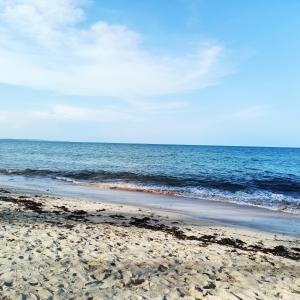 HavenHouse Kijani - 1 Bedroom Beach Apartment with Swimming Pool