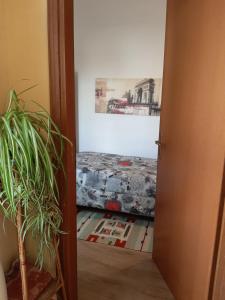 Bed & Breakfast La Casa Antica img39