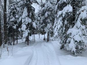 Chalet le Huard directement au bord du lac