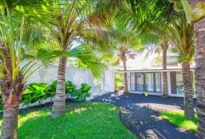 Coconut Garden Đồng Tháp - Ấp Ðông An (1)