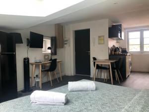 Jolis Appartements au coeur de Clermont Ferrand - Proche Jaude - WIFI et NETFLIX : photos des chambres