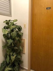 Apartamento quadra da praia - Pitangueiras Guarujá