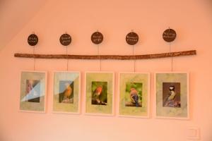 Neizhig Koad Petit Nid en Bois