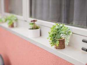 CM Vintage Apartments