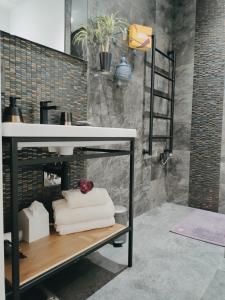 Charmant T2 , en bord de Sèvre