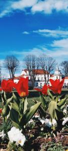 Apartman 21 Banja Koviljača