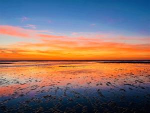 Rocky Point - Ocean Front - King - Suites - Sleeps12 - Gated - POOLS WI-FI