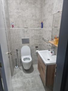 Ambra studio f12