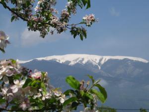 Hotel Livithra Olympos Greece