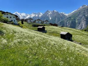 Schwarzhornblick