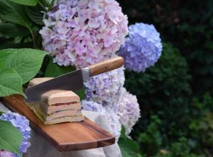 Hotels Le Chateau De Beaulieu : photos des chambres