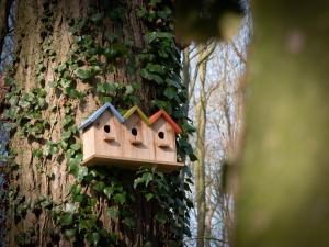 Hotels Le Chateau De Beaulieu : photos des chambres