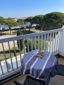 Studio vue port, parking privé, terrasse, clim