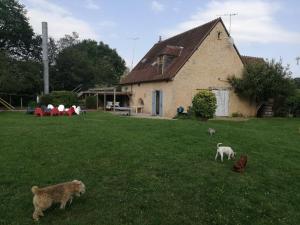 Gîte LAnge Blanc 12 chambres, 28 personnes, piscine couverte chauffée