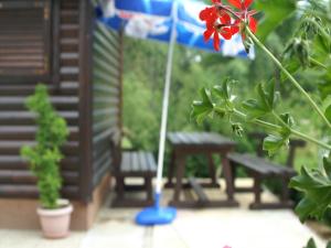 Budget Room with Terrace room in Bed & Breakfast Helena