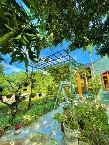 Hang Mua Nature Homestay - Xuân Sơn