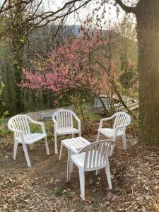 Appartements Les hauts des Durnieres : photos des chambres