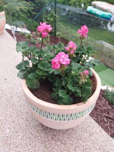 Apartmán Residence Nábřeží