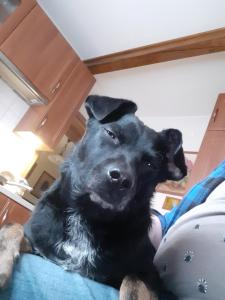 Apartamenty Nad Wisłą