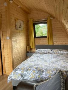 The Foxs Den, Luxury Cosy Mini Lodge, Highlands