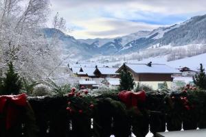 Mountain View Apartment