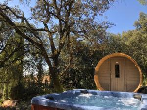 B&B / Chambres d'hotes Suite Petite -Nice - SPA-JACUZZI - MASSAGE- SAUNA - 4 SAISONS - Piscine Chauffee Toute l'annee - POOL VIEW- Heated Pool 800m city centre Nyons : photos des chambres