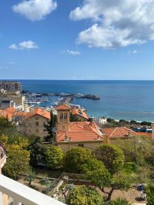 Appartements Charmant deux pieces aux portes de Monaco : photos des chambres