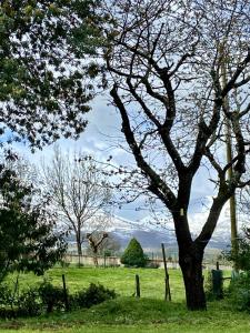 B&B / Chambres d'hotes MAISON AMORAINA : photos des chambres