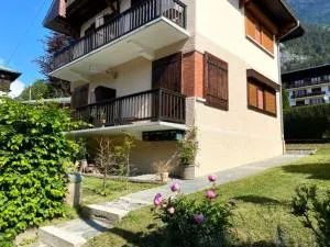 Fizhome Mt Blanc - 帕西