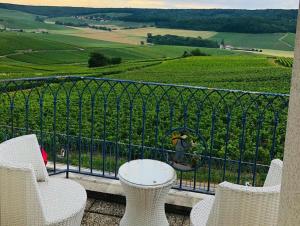 Maisons de vacances FLORESSENS EN CHAMPAGNE Terrasse privative sur le vignoble : photos des chambres