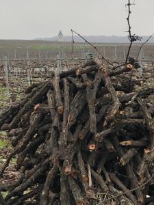 Maisons de vacances FLORESSENS EN CHAMPAGNE Terrasse privative sur le vignoble : photos des chambres