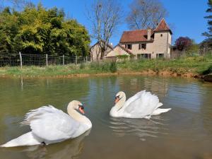 B&B / Chambres d'hotes Ferme des Petites Oreilles 4 etoiles : photos des chambres