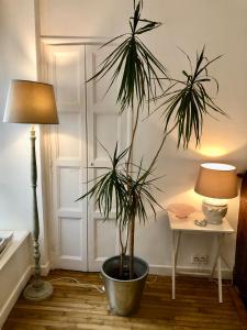 Appartements Appartement Coeur Saint-Martin : photos des chambres