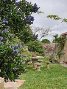 Appartements Pause couleur Lavandula : photos des chambres