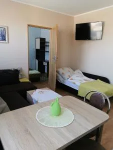 Apartament Borowiacki - Legbąd