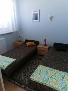 Apartament Borowiacki