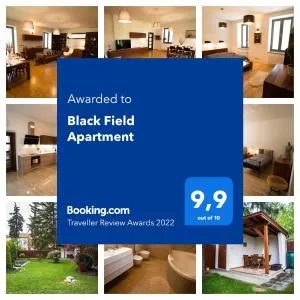 Black Field Apartment - Hussowitz