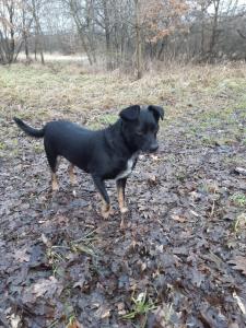 Apartamenty Nad Wisłą