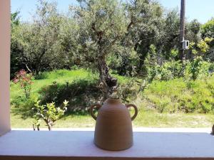 Nissi Collection Rooms