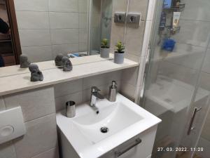 Apartman Antonela with FREE garage parking