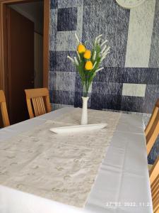 Apartman Antonela with FREE garage parking